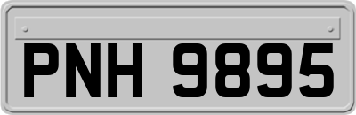 PNH9895