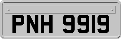 PNH9919