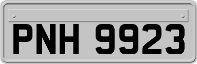 PNH9923