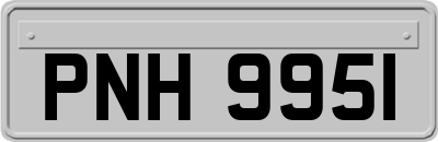 PNH9951
