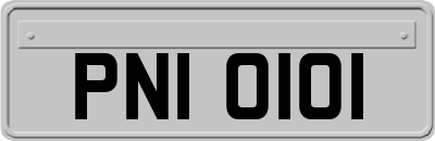 PNI0101