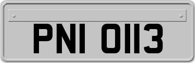 PNI0113
