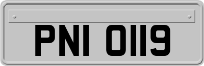 PNI0119
