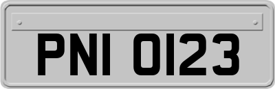 PNI0123
