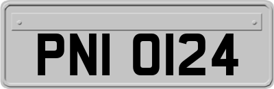 PNI0124