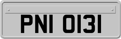 PNI0131