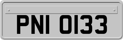 PNI0133