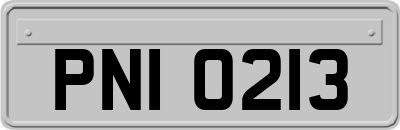PNI0213