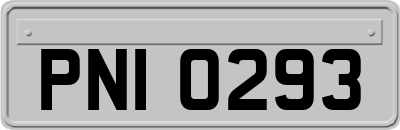 PNI0293