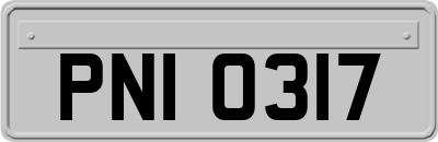 PNI0317