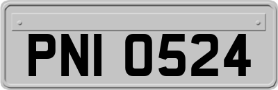 PNI0524