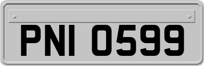 PNI0599