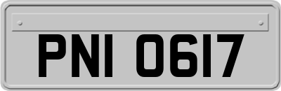 PNI0617