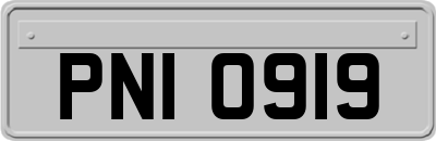 PNI0919