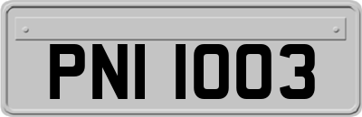 PNI1003
