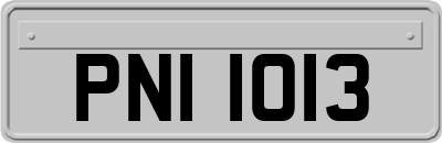 PNI1013