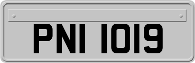 PNI1019