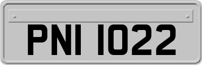 PNI1022