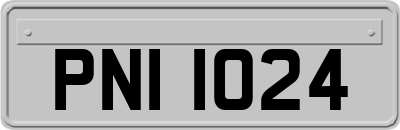 PNI1024