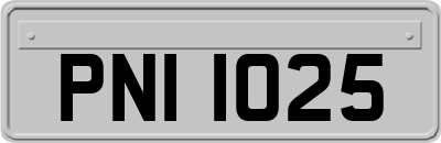 PNI1025