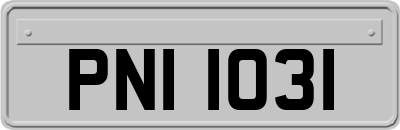 PNI1031