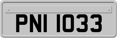 PNI1033