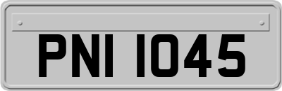 PNI1045