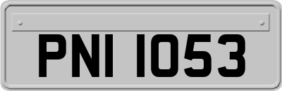 PNI1053