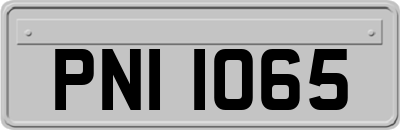 PNI1065