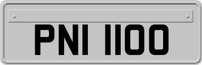 PNI1100