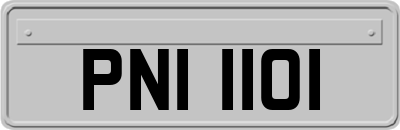PNI1101