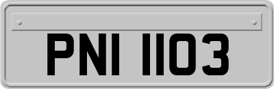 PNI1103