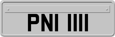 PNI1111