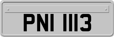 PNI1113