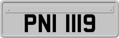PNI1119