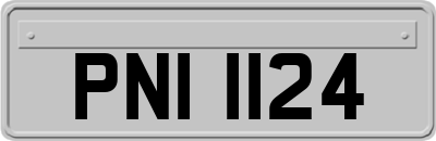 PNI1124