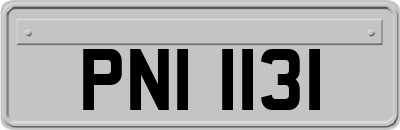 PNI1131