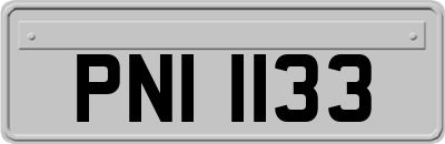 PNI1133