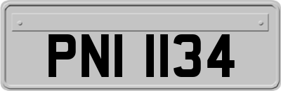 PNI1134