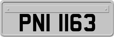 PNI1163