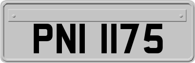 PNI1175