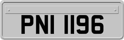 PNI1196