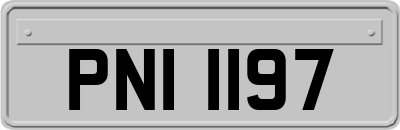 PNI1197