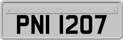 PNI1207