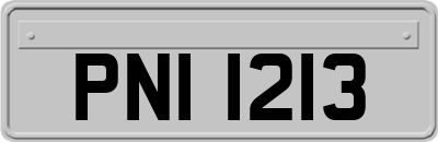 PNI1213