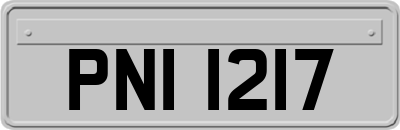 PNI1217