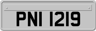 PNI1219