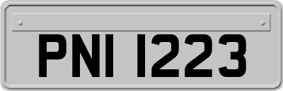 PNI1223