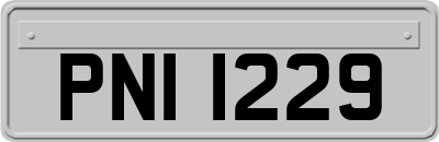 PNI1229