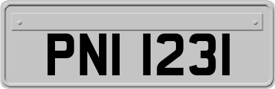 PNI1231